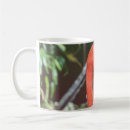 Search for photography mugs Tropical