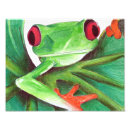 Search for green tree frog posters Animal