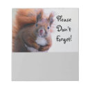 Search for squirrel notepads Animal