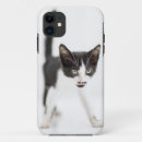 Search for studio shot iphone cases One animal