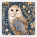 Search for owl stickers Bird lovers