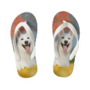 Search for friend shoes Pet
