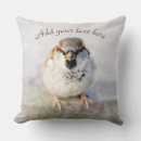 Search for angry face cushions Animal