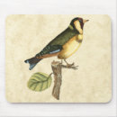 Search for perching mousepads Avian