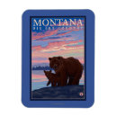 Search for vintage bear magnets Lantern