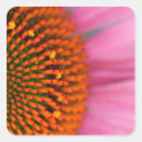 Search for darrell stickers Flower