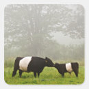 Search for side by side stickers Standing