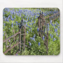 Search for abundant mousepads Colourful