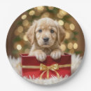 Search for christmas box plates Festive