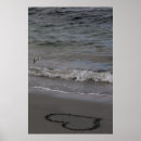 Search for sandpiper art Photography