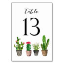 Search for succulent table cards Cactus