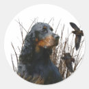 Search for gordon stickers Setter