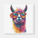 Search for llama magnets Illustration