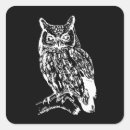 Search for white owls stickers Animals
