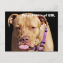Search for pit postcards Animals