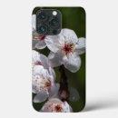 Search for plum phone cases Pink