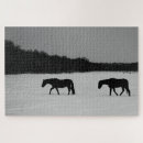 Search for horses and snow puzzles White