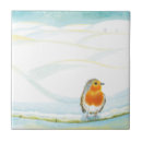 Search for robin tiles Winter
