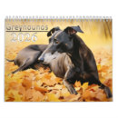 Search for greyhounds calendars Dog lover