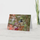 Search for capped chickadee cards Photography