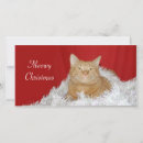 Search for tinsel christmas cards Xmas