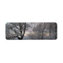 Search for covered return address labels Trees