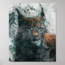 Search for lynx posters Animal