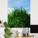 Search for cloudscape art Grass