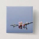 Search for beautiful blossom badges Beauty