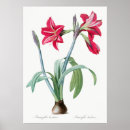 Search for exotic plants posters Vintage