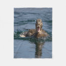 Search for swimming blankets Nature