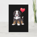 Search for bernedoodle cards Dog