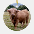Search for horn christmas tree decorations Highland