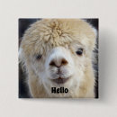 Search for alpaca badges Animal