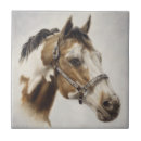 Search for mustang tiles Western