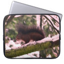 Search for squirrel picture electronics Cute