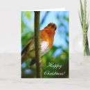 Search for wild animal christmas cards Bird