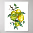 Search for lemon tree posters Fruit
