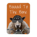 Search for bones magnets Steampunk