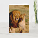Search for namibia cards Animal