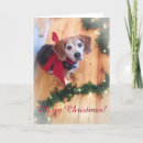 Search for beagle christmas cards Hound