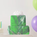 Search for banana leaf wrapping paper Green