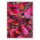 Search for autumn art cards Black