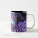 Search for okinawa mugs Nature