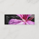 Search for zoom business cards Macro