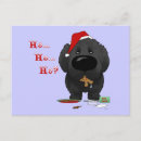 Search for newfoundland dog christmas cards Xmas