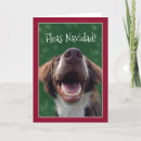 Search for fleas christmas cards Red