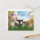 Search for feline lover postcards Meow