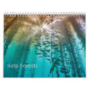 Search for kelp Fish