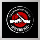 Search for tai chi posters Kung fu